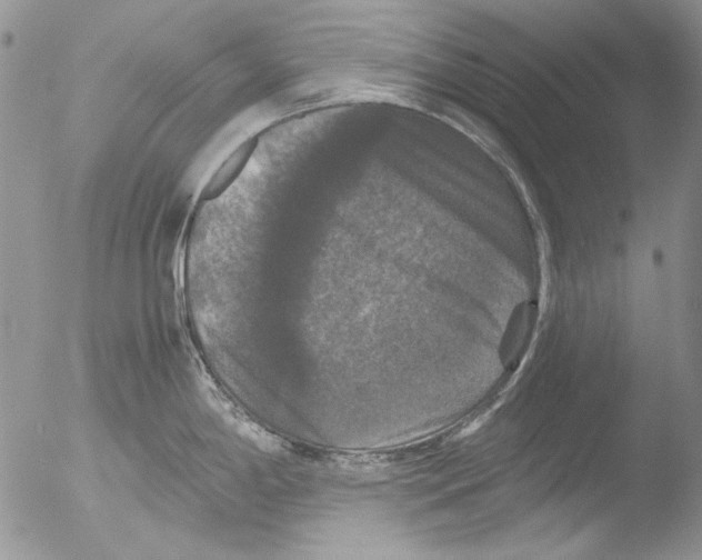 X0000051241198200507152115