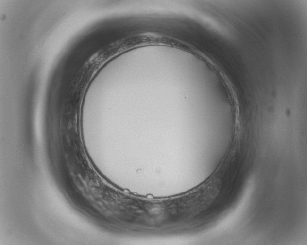 X0000051241199200507152115