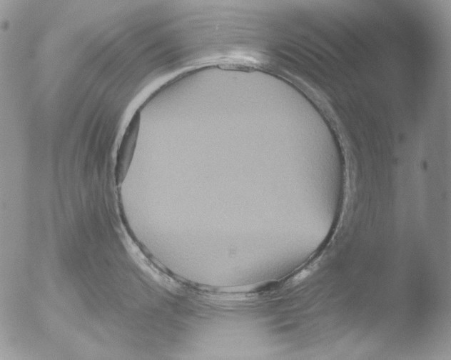 X0000051241200200507152115