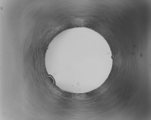 X0000051241201200507152114