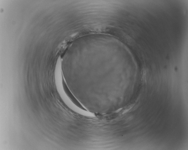 X0000051241202200507152114