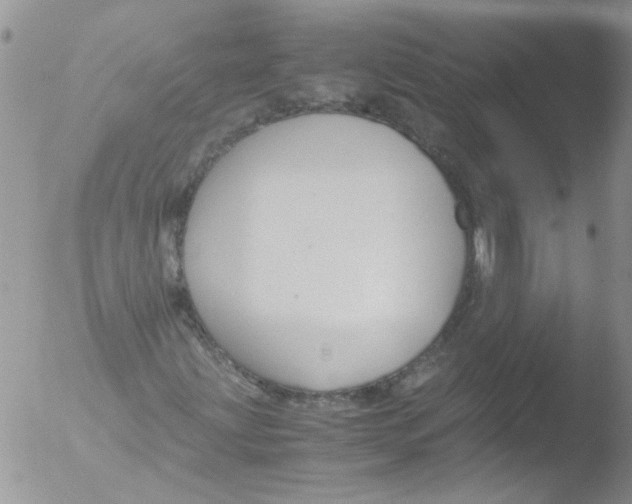 X0000051241203200507152114