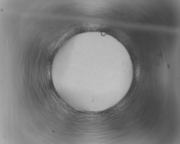 X0000051241204200507152114