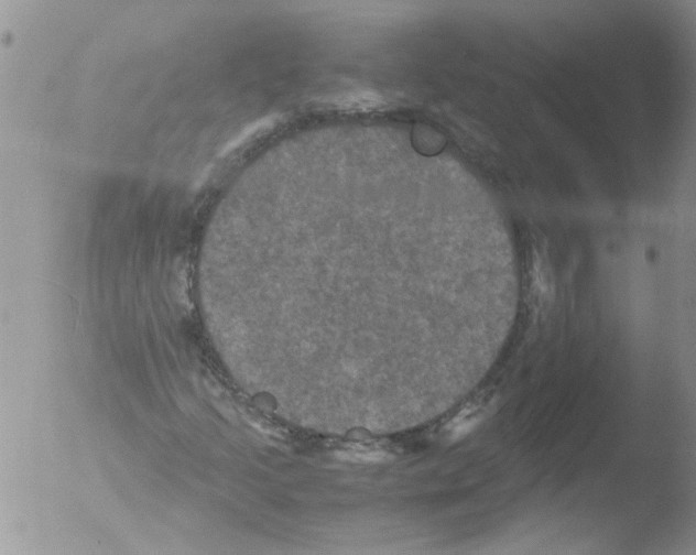 X0000051241205200507152114