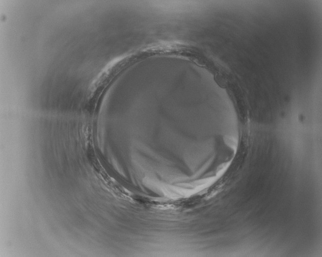 X0000051241206200507152114