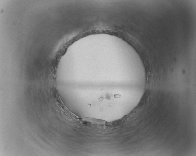 X0000051241207200507152114