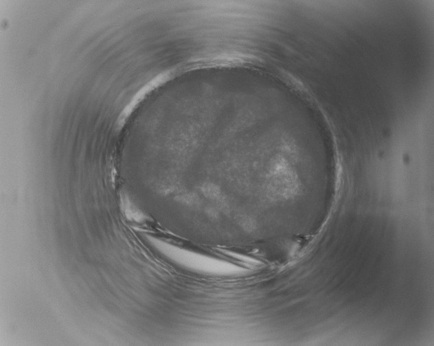 X0000051241210200507152114