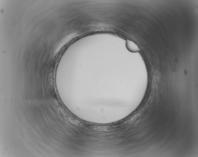 X0000051241211200507152114