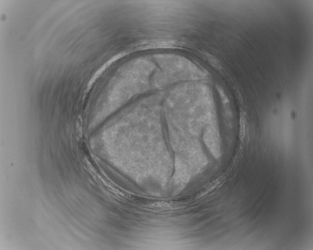 X0000051241212200507152114