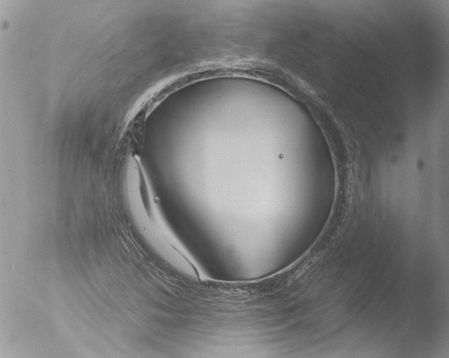 X0000051241214200507152114