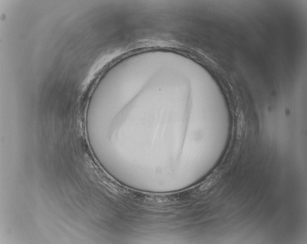 X0000051241215200507152114