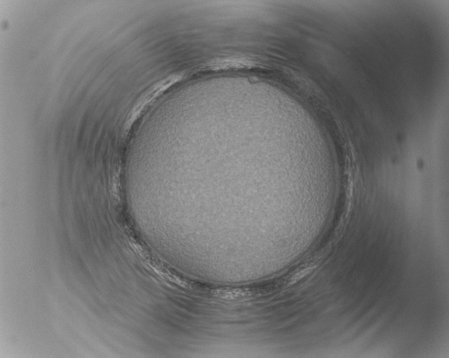 X0000051241217200507152115