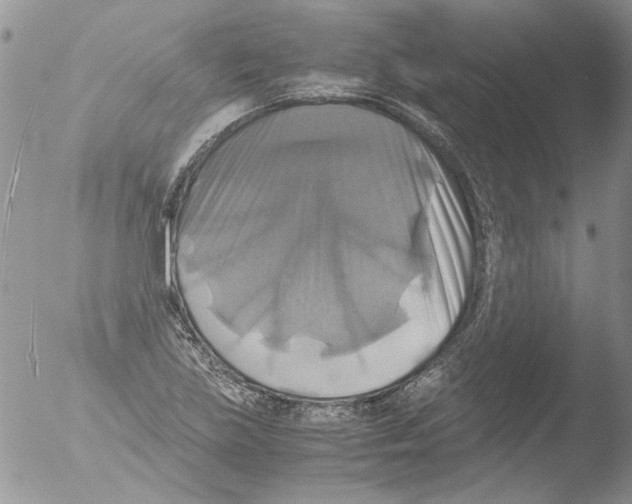 X0000051241219200507152115