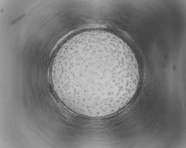 X0000051241220200507152115