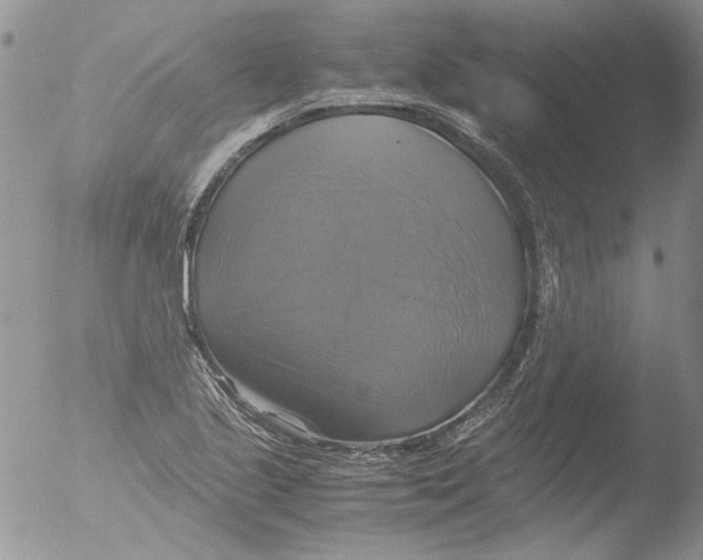 X0000051241221200507152115