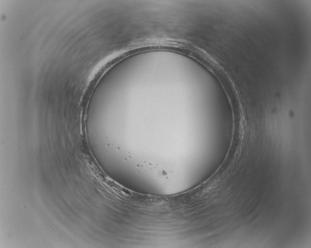 X0000051241222200507152115