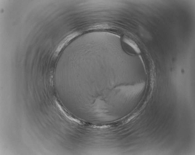 X0000051241225200507152115