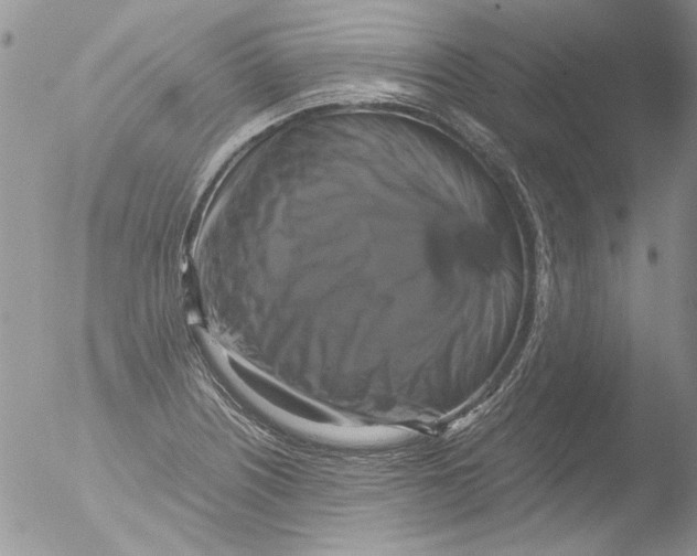 X0000051241226200507152115