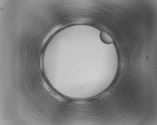 X0000051241227200507152115