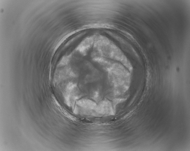 X0000051241228200507152115