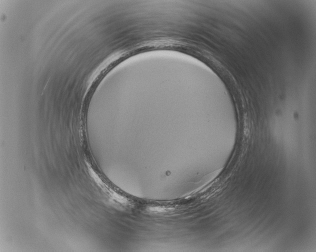 X0000051241229200507152115