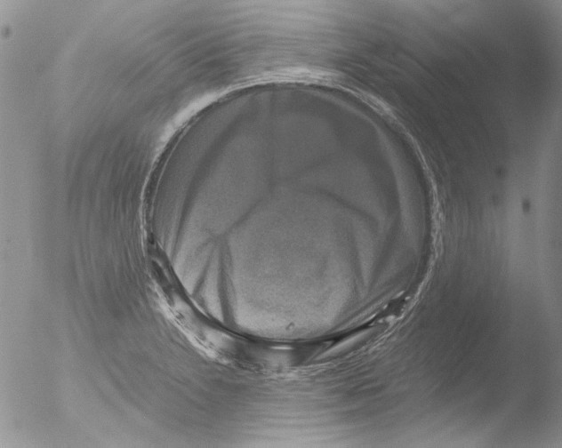 X0000051241230200507152115