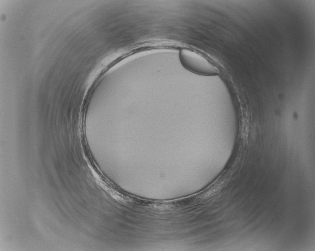 X0000051241231200507152115