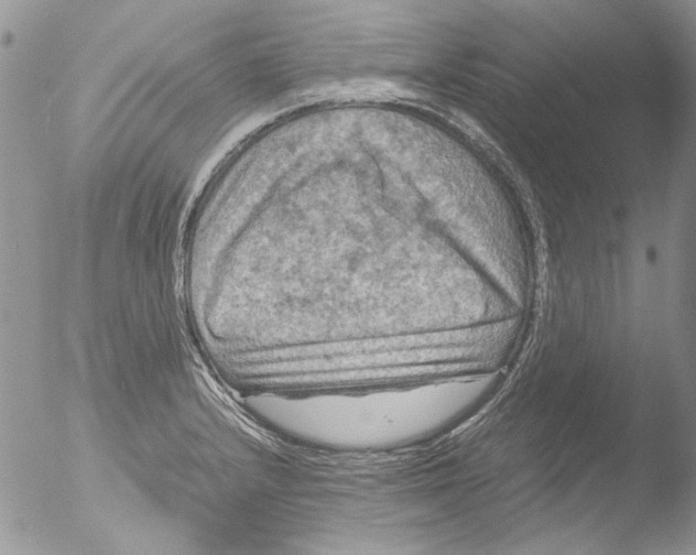 X0000051241232200507152115