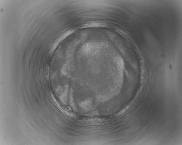 X0000051241233200507152115