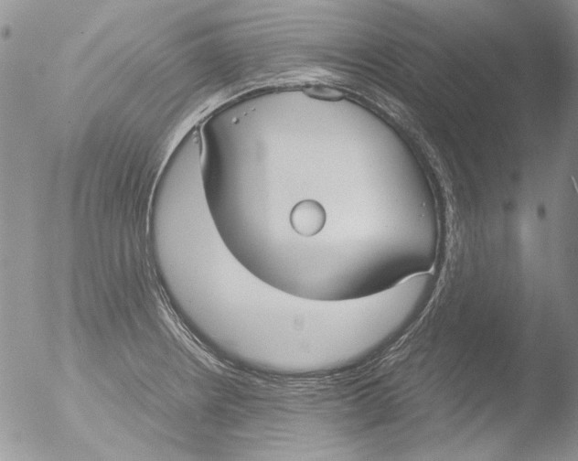 X0000051241234200507152115