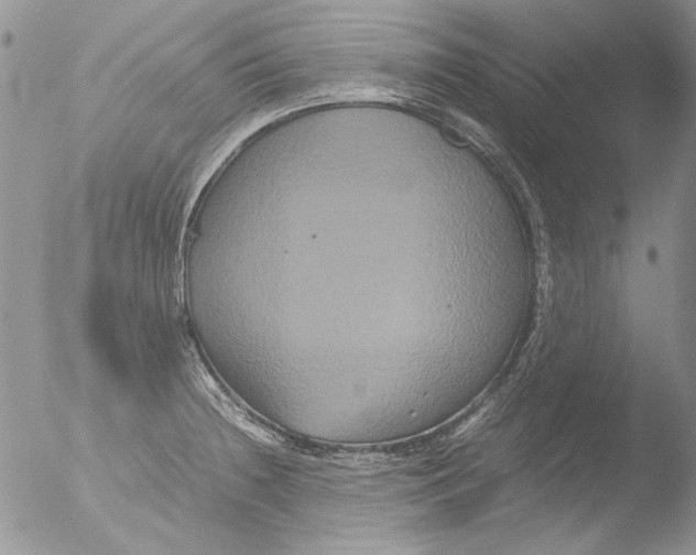 X0000051241236200507152115