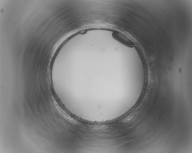 X0000051241238200507152115