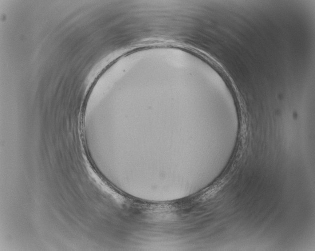 X0000051241239200507152115