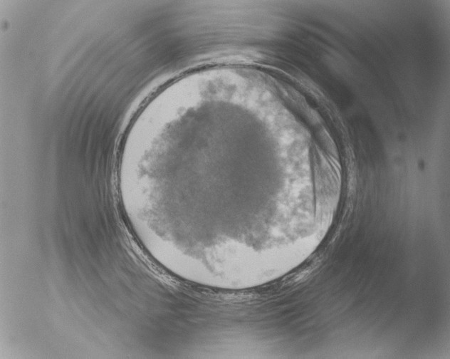 X0000051241240200507152115