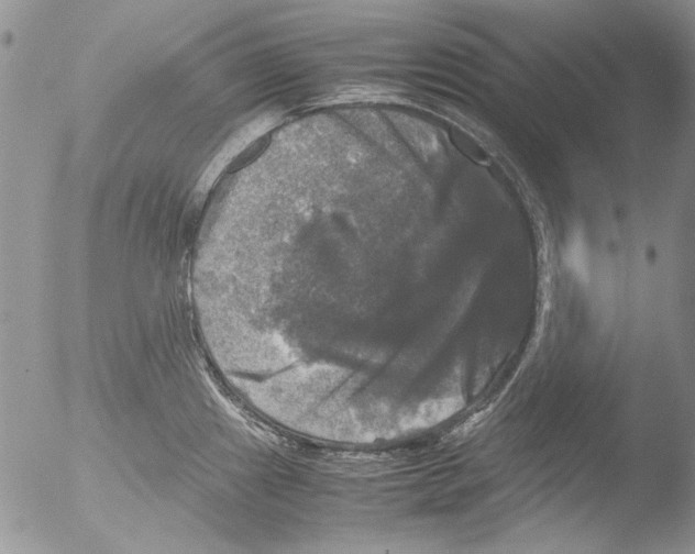 X0000051241241200507152115