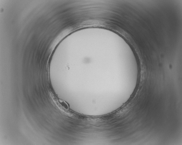 X0000051241242200507152115