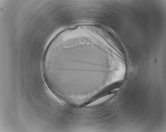 X0000051241243200507152115