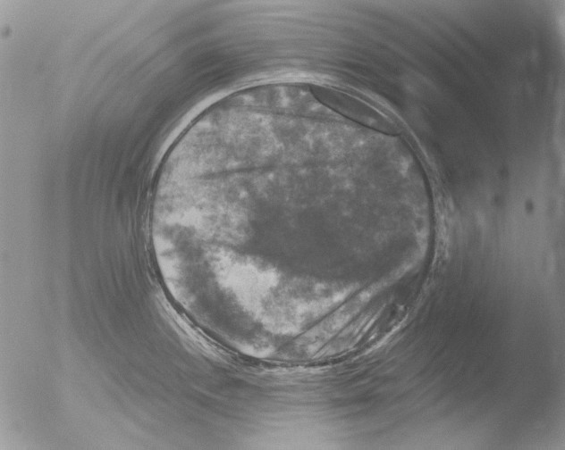 X0000051241244200507152115