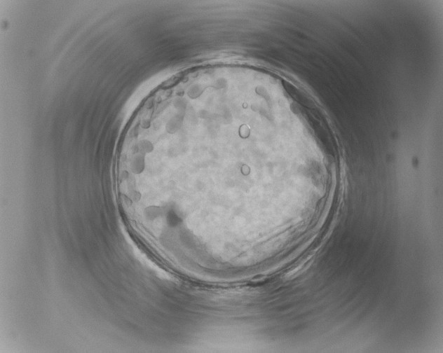 X0000051241247200507152115