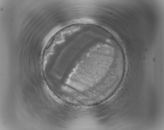 X0000051241248200507152115