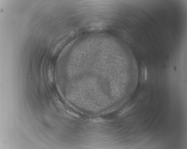 X0000051241250200507152114