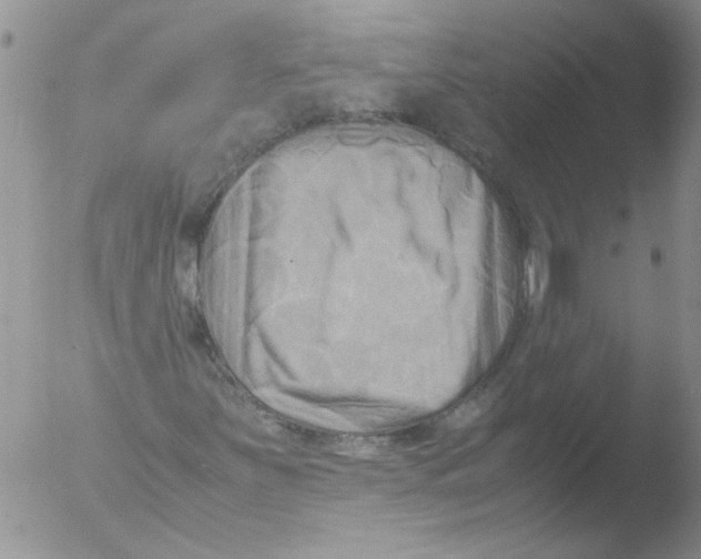 X0000051241251200507152114