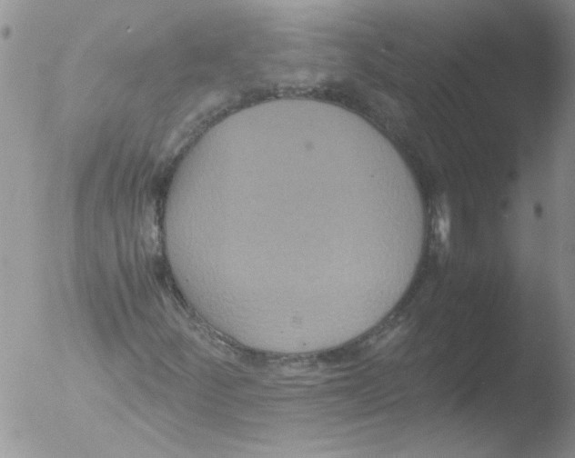 X0000051241252200507152114