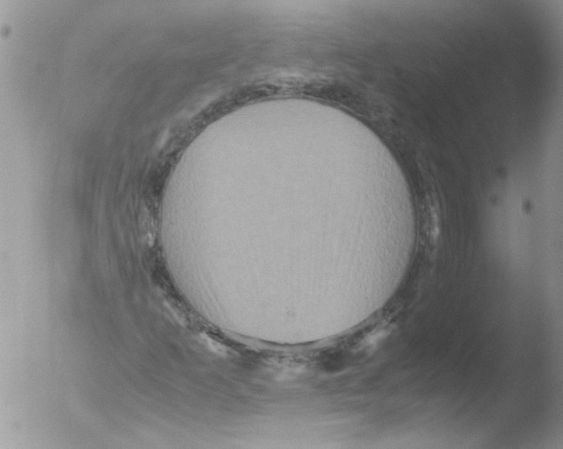 X0000051241253200507152114