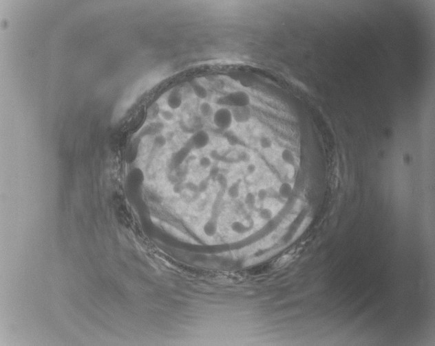 X0000051241255200507152114