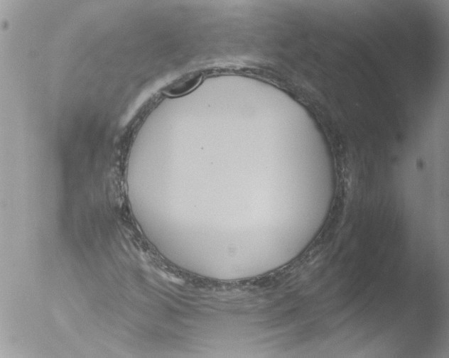 X0000051241256200507152114