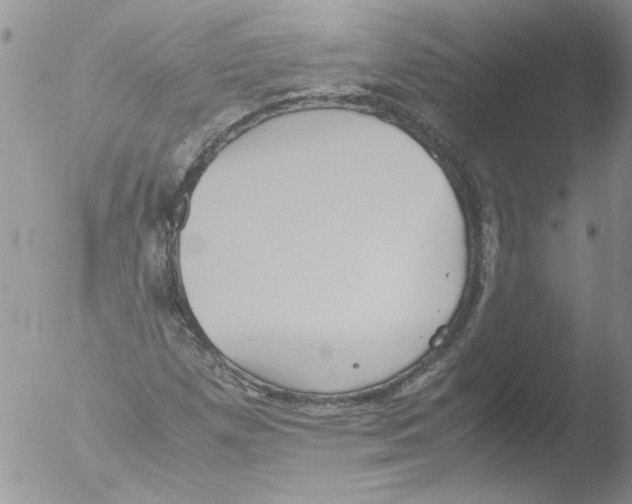 X0000051241257200507152114