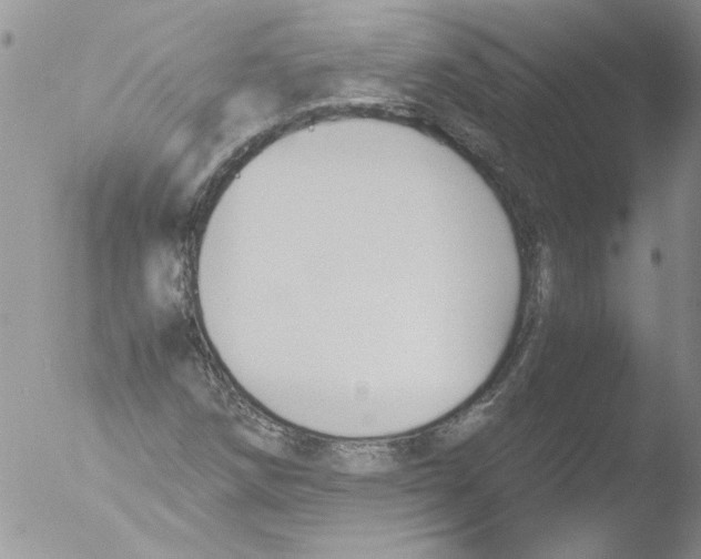 X0000051241258200507152114