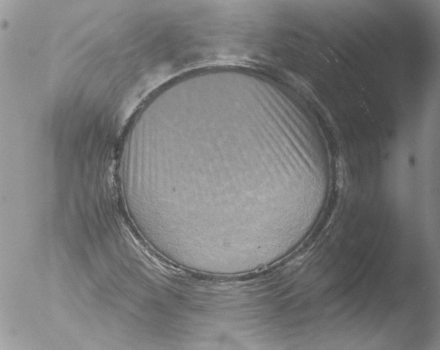 X0000051241260200507152114