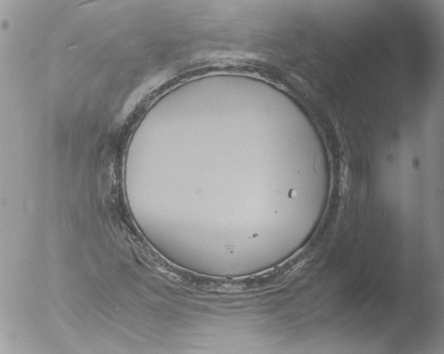 X0000051241261200507152114